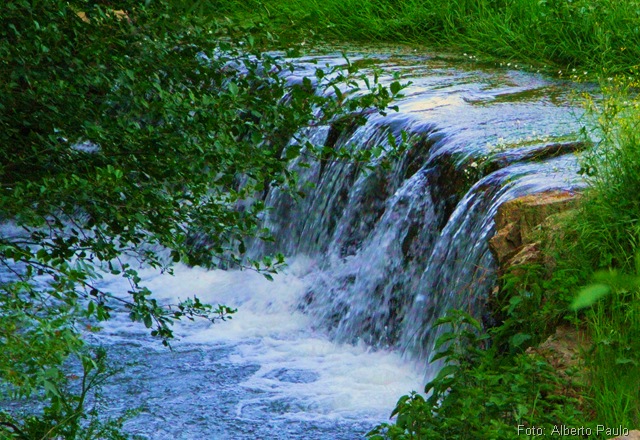 Imagem recuperada do Portal Castelo Branco Mogadouro